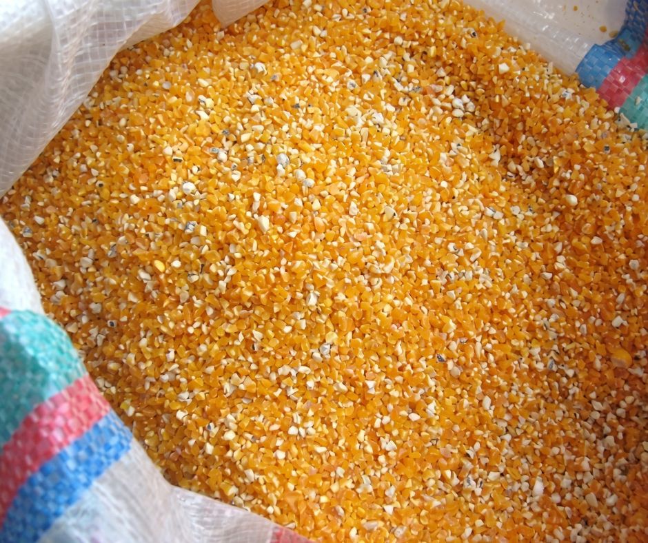 Pakan