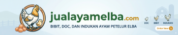 Jual Ayam Elba