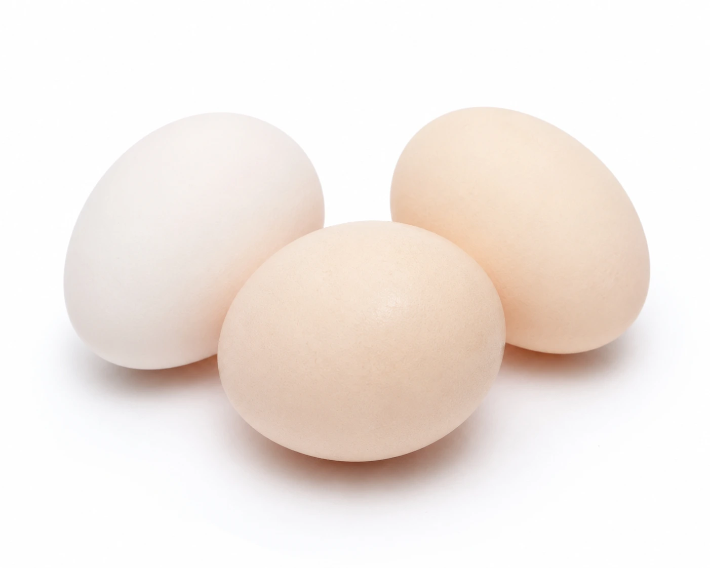 Telur