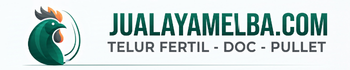 Jual Ayam Elba